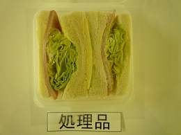 P1000279.jpg