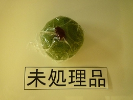 P1000270.jpg