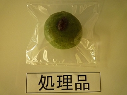 P1000272.jpg