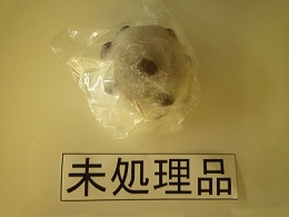 P1000271.jpg